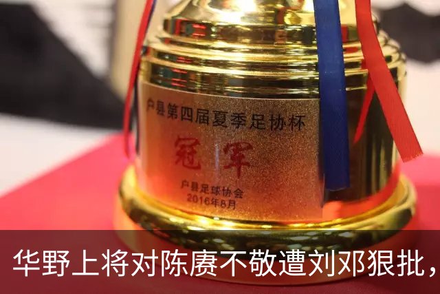 华野上将对陈赓不敬遭刘邓狠批，称性格傲慢，陈毅无奈端起老总架子！