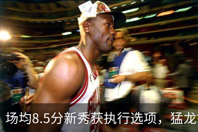 场均8.5分新秀获执行选项，猛龙锁定两名年轻替补