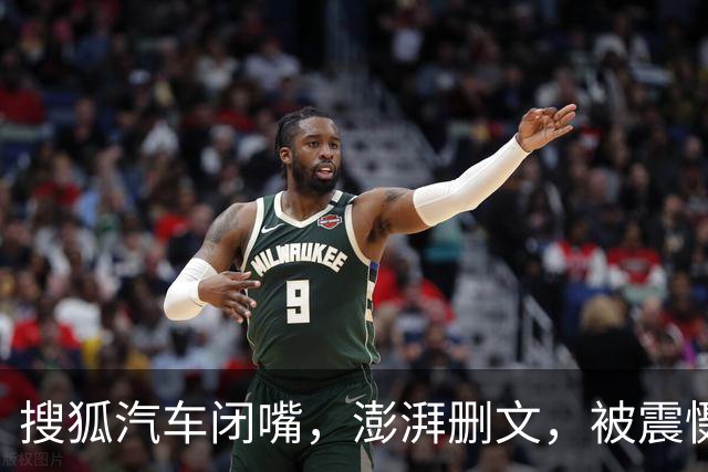 搜狐汽车闭嘴，澎湃删文，被震慑的是整个行业！