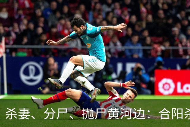 杀妻、分尸、抛尸黄河边：合阳杀妻分尸案的家庭伦理悲剧