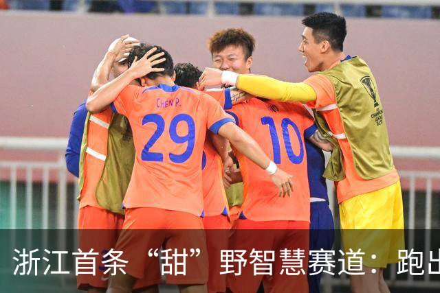 浙江首条“甜”野智慧赛道：跑出农文旅融合“科技味”-国际在线