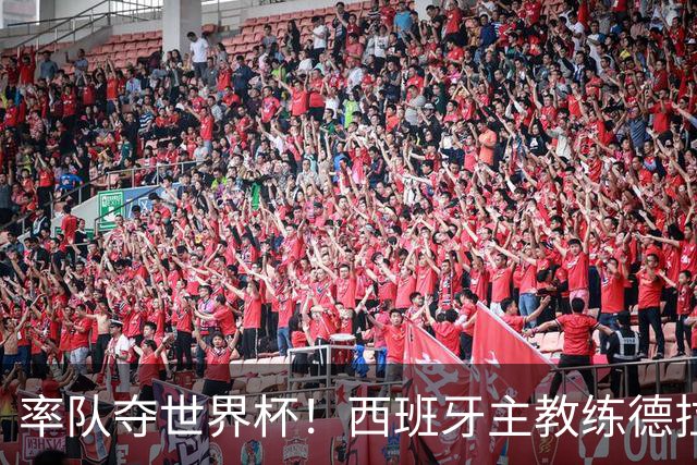 率队夺世界杯！西班牙主教练德拉富恩特获年度最佳主帅