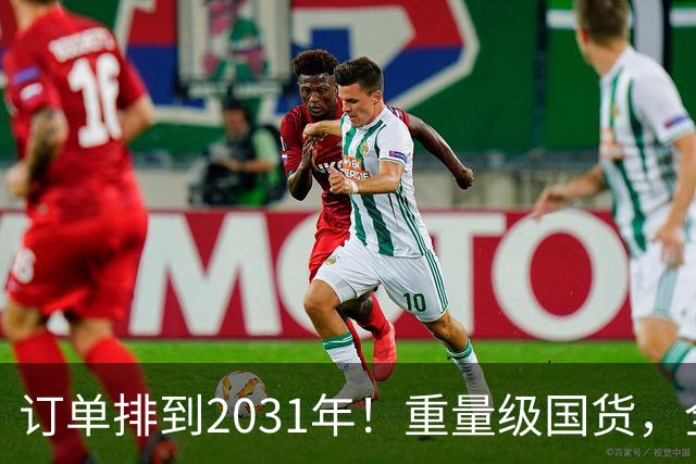 订单排到2031年！重量级国货，全球爆单