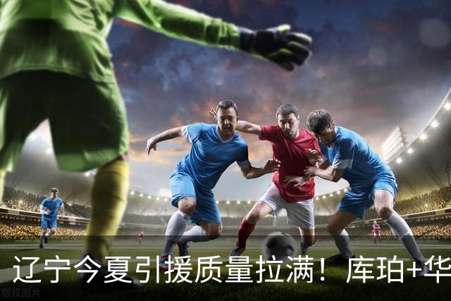 辽宁今夏引援质量拉满！库珀+华子场均42分，克里斯也能稳内线！