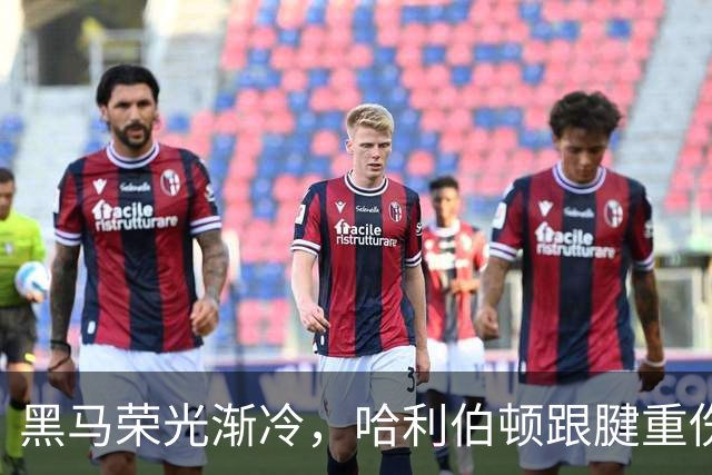 黑马荣光渐冷，哈利伯顿跟腱重伤归来重新出发