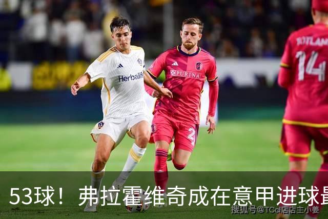 53球！弗拉霍维奇成在意甲进球最多的塞尔维亚球员